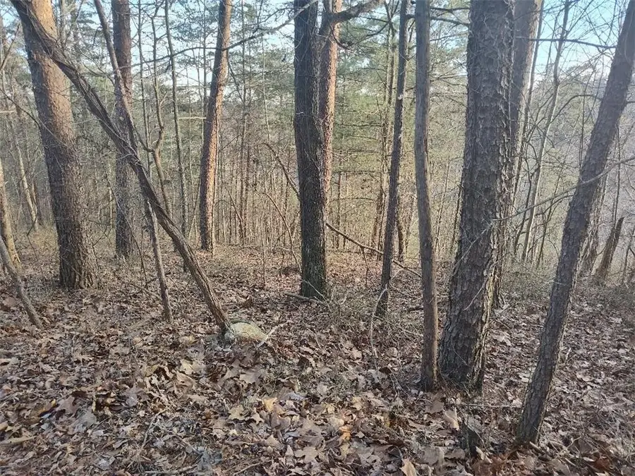 1058 Mayfield Lane, Ranger, GA 30734 - Image #3