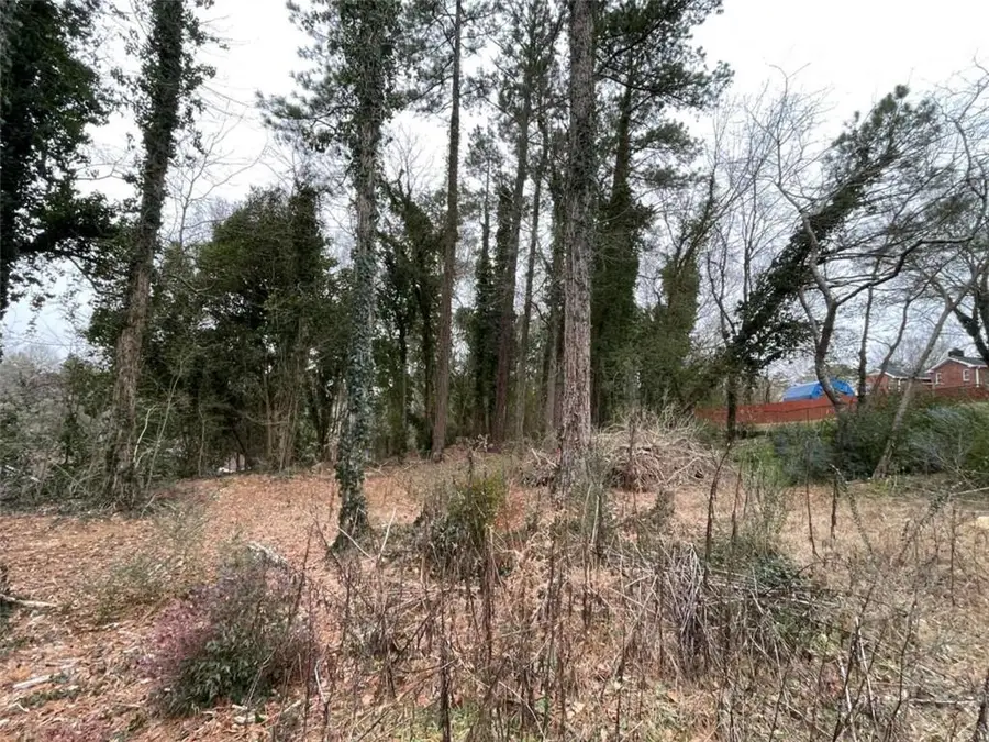 0 Carrington Place, Rome, GA 30161 - #3