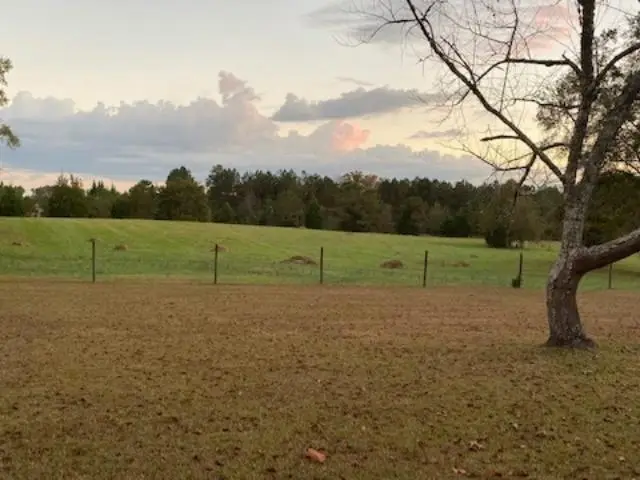 732 New Hope, McDonough, GA 30252 - #2