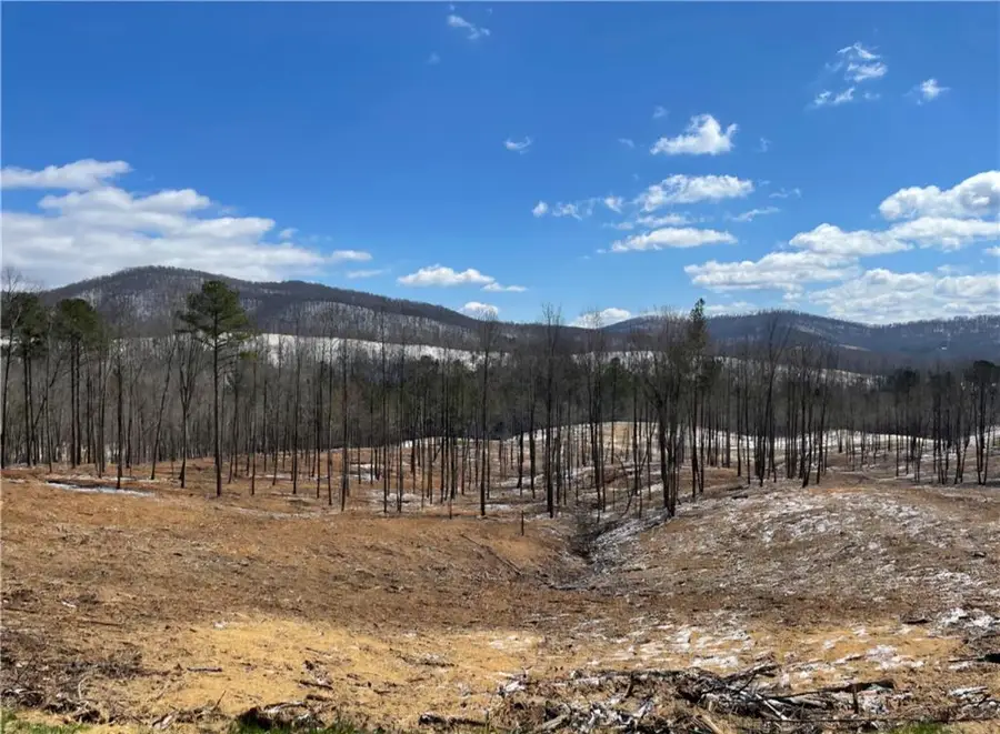 135 Twisted Oak Road, Talking Rock, GA 30175 - Image #3