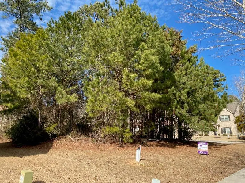 3299 Dogwood Pass, Lithonia, GA 30038 - Image #3
