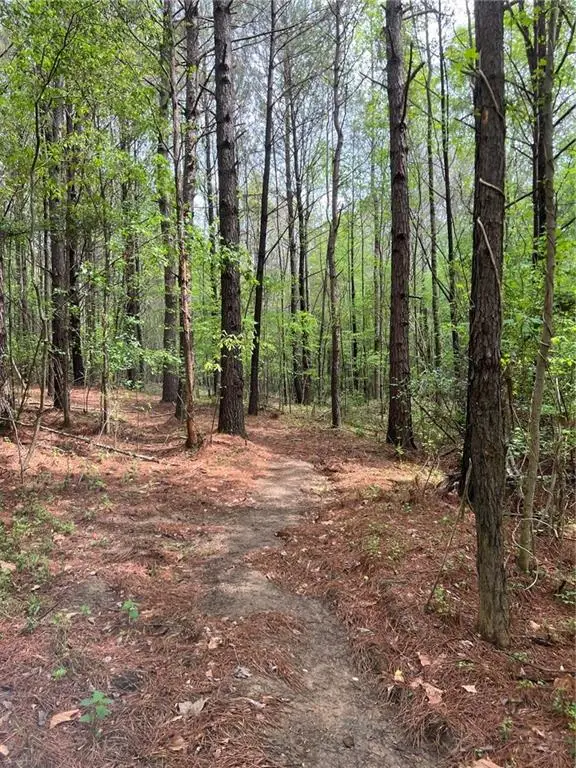 0 Willingham Drive, Fayetteville, GA 30214 - Image #1