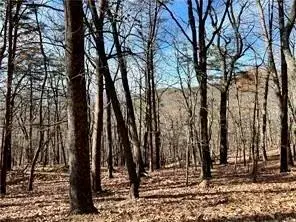 1520 Moss Patch Trail, Jasper, GA 30143