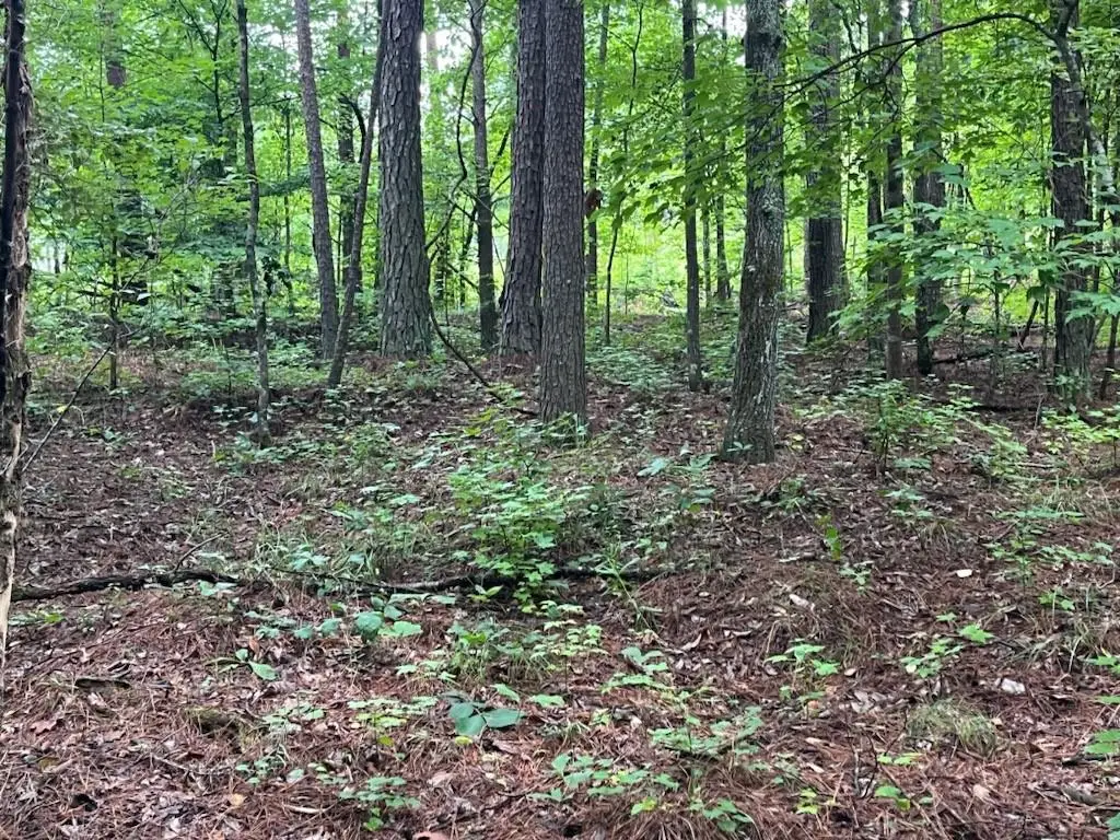 2708-A Narroway Church Circle, Dallas, GA 30132 - #1