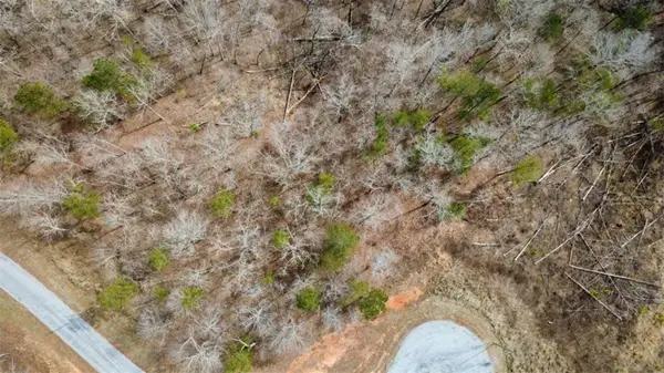 LOT 43 Bucktail Way, Talking Rock, GA 30175