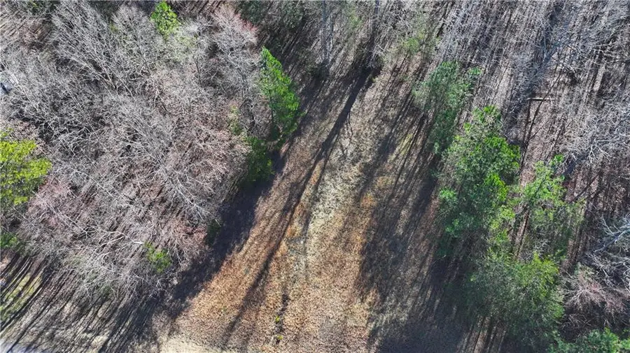 29 Saratoga Drive, Rydal, GA 30171 - Image #2