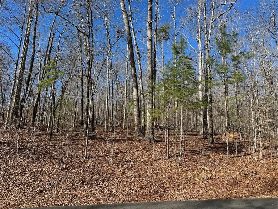 275 Shore Crest Drive, Martin, GA 30557 - #3