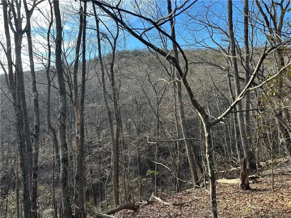 Lt1141 Oglethorpe Mountain Road, Jasper, GA 30143 - Image #1