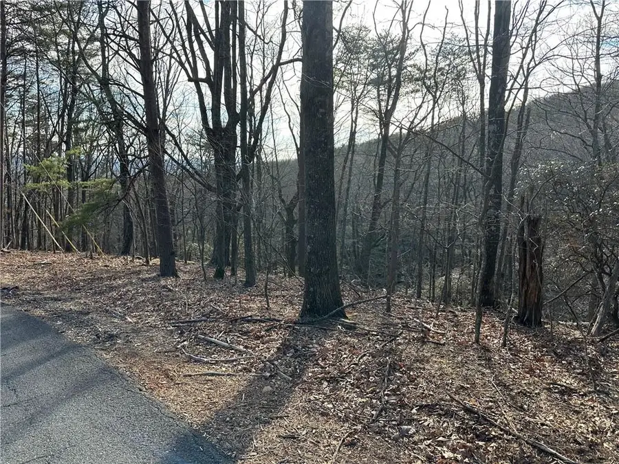 Lt1141 Oglethorpe Mountain Road, Jasper, GA 30143 - Image #3