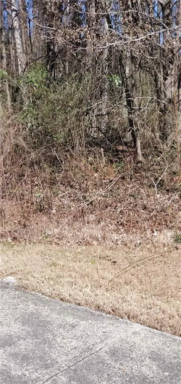 3452 Tiffany Cove Drive, Loganville, GA 30052 - #3