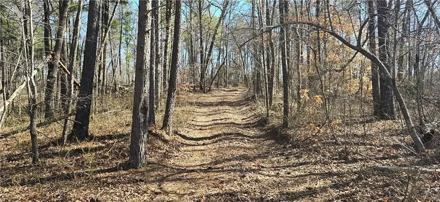 00001 Flatbottom Road, Ball Ground, GA 30107 - Image #3