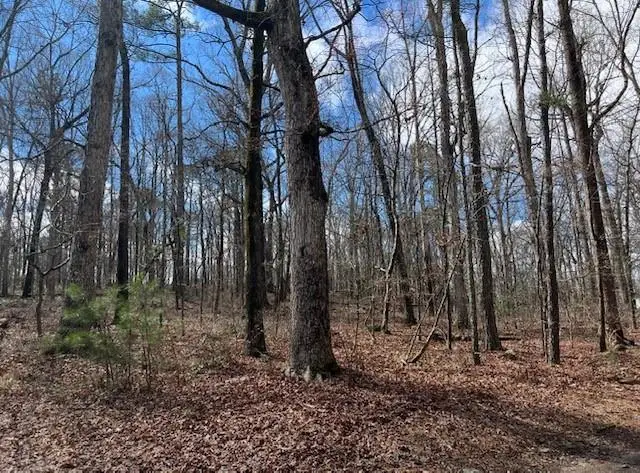 3871 Martin Drive, Ellenwood, GA 30294 - Image #2