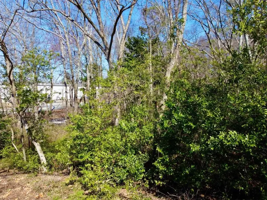 1070 Barton Street Nw, Conyers, GA 30012 - Image #3