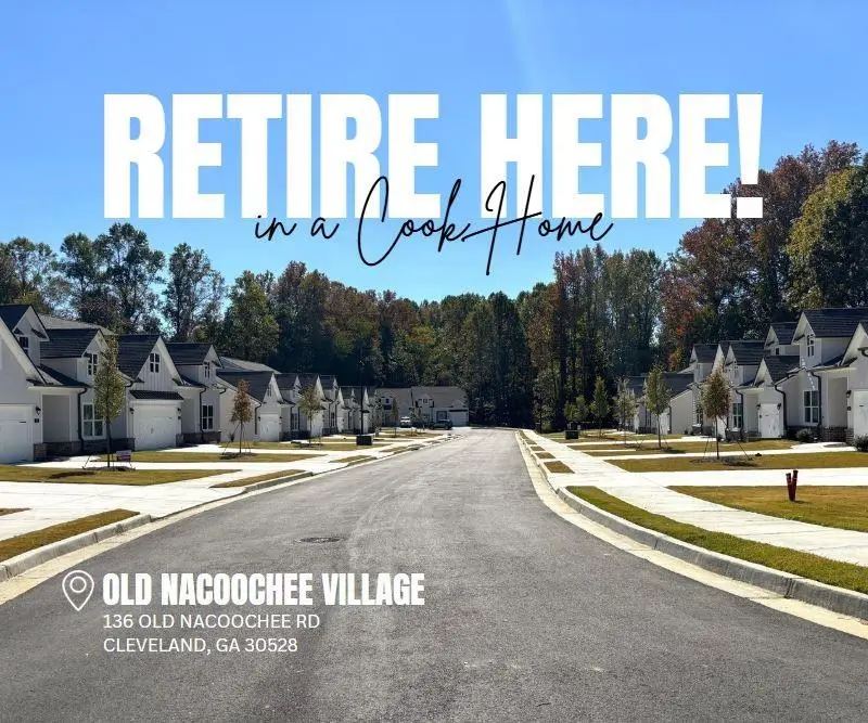 35 Village Court #4, Cleveland, GA 30528 - Image #3