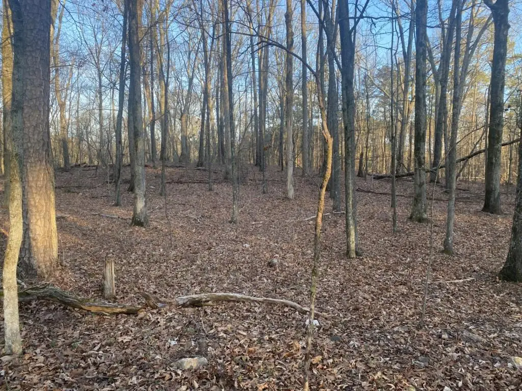 0 Jacobs Road Se, Acworth, GA 30102 - #1