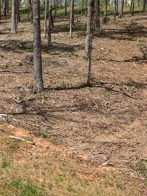 LOT #6 S Jakes Landing Way S, Ellijay, GA 30540 - #3