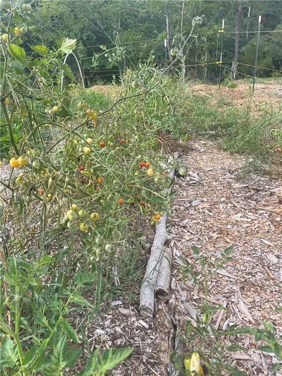 3985 Demooney Road, Atlanta, GA 30349 - #3