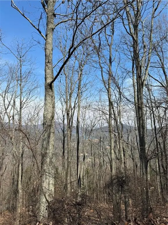 8261 Cox Mountain Drive, Big Canoe, GA 30143