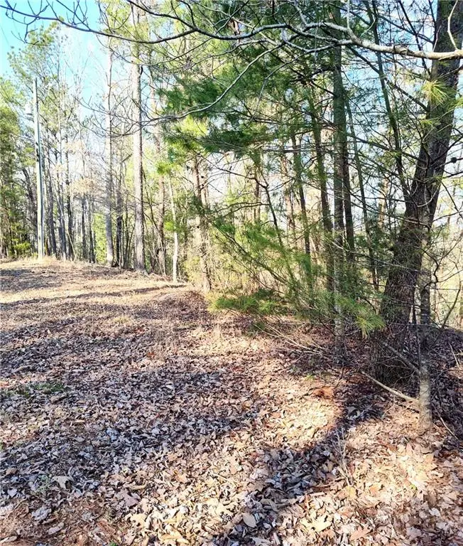 1698 Shade Tree Lane, Talking Rock, GA 30175 - Image #2