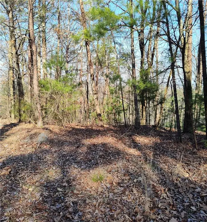 1698 Shade Tree Lane, Talking Rock, GA 30175 - Image #3