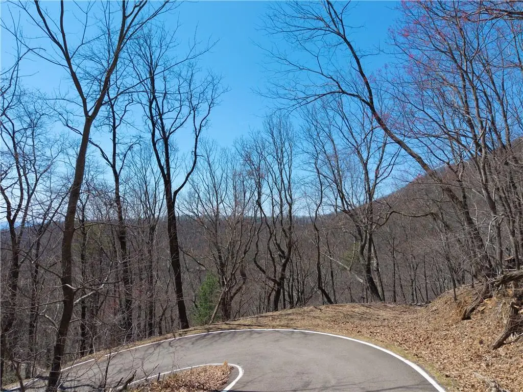 376 Deer Run Ridge, Big Canoe, GA 30143 - Image #1