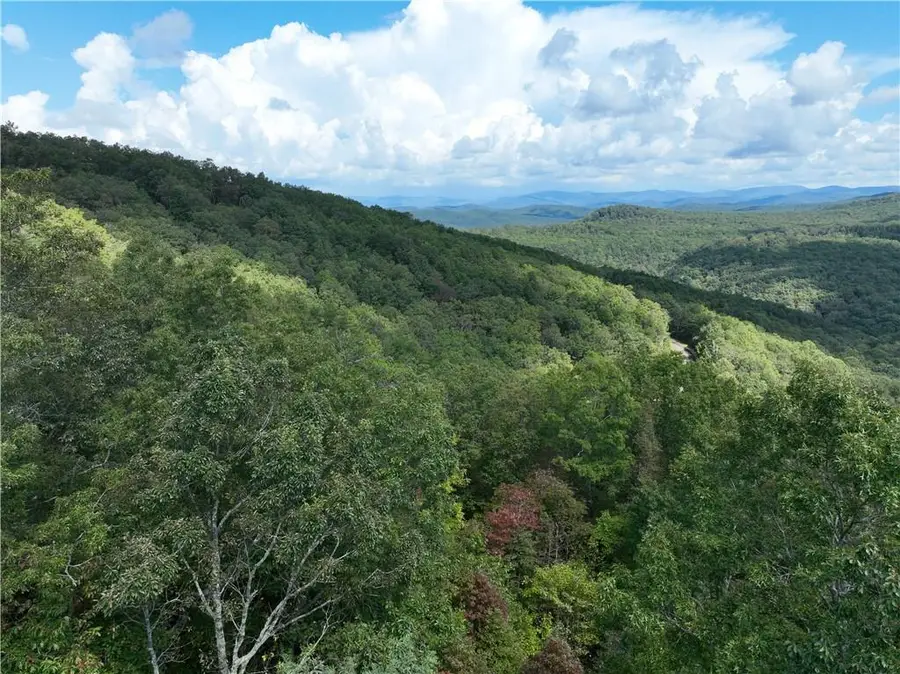 235 Andes Ridge, Ellijay, GA 30536 - Image #3
