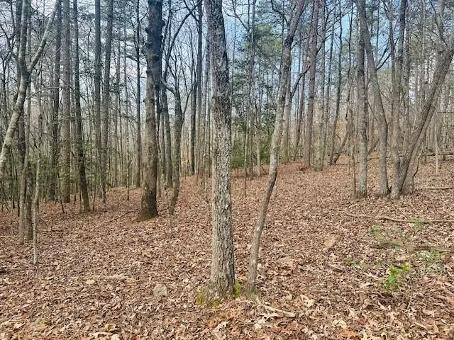 Lot 28 Fern Park Drive, Dawsonville, GA 30534 - Image #2