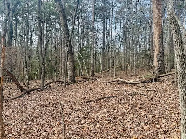 Lot 28 Fern Park Drive, Dawsonville, GA 30534 - Image #3