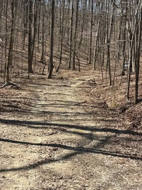 1092 Fern Court, Ranger, GA 30734 - Image #1