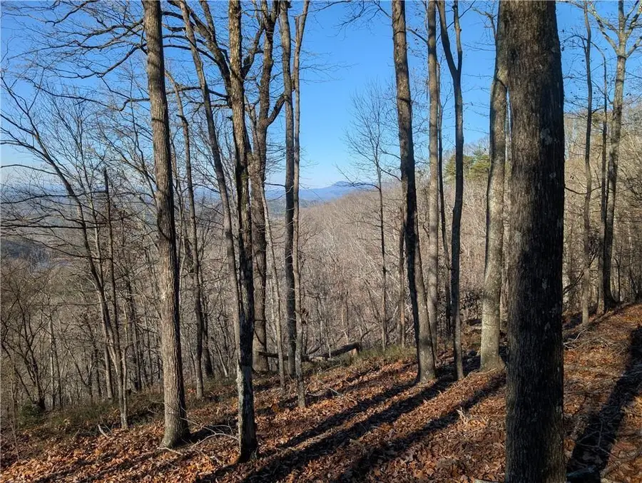 234 Stirratt Road, Ranger, GA 30734 - Image #2