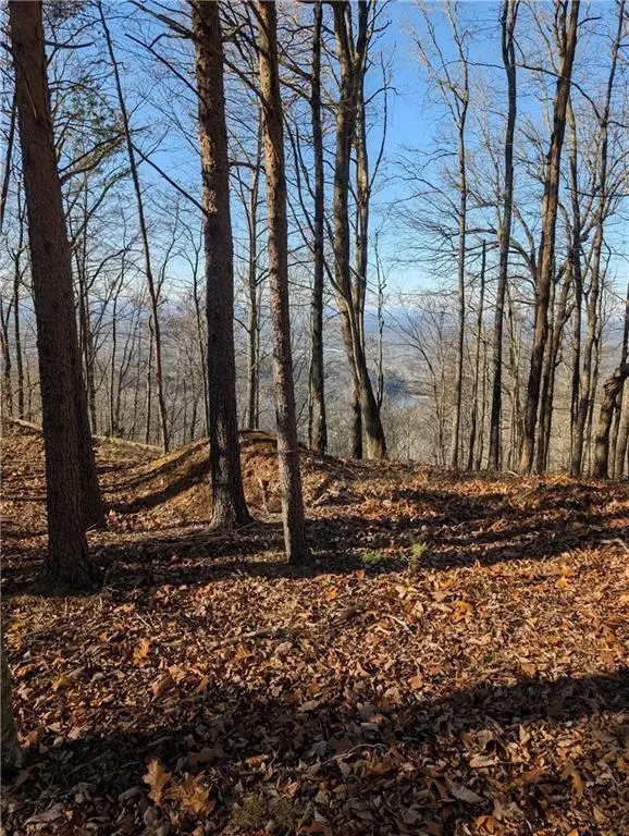 234 Stirratt Road, Ranger, GA 30734 - Image #3