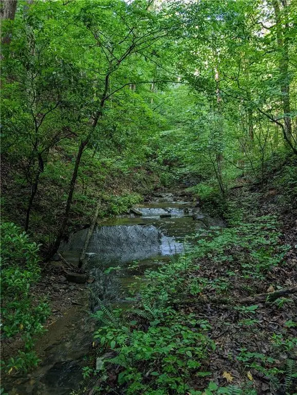 772 Naomi Court, Ranger, GA 30734