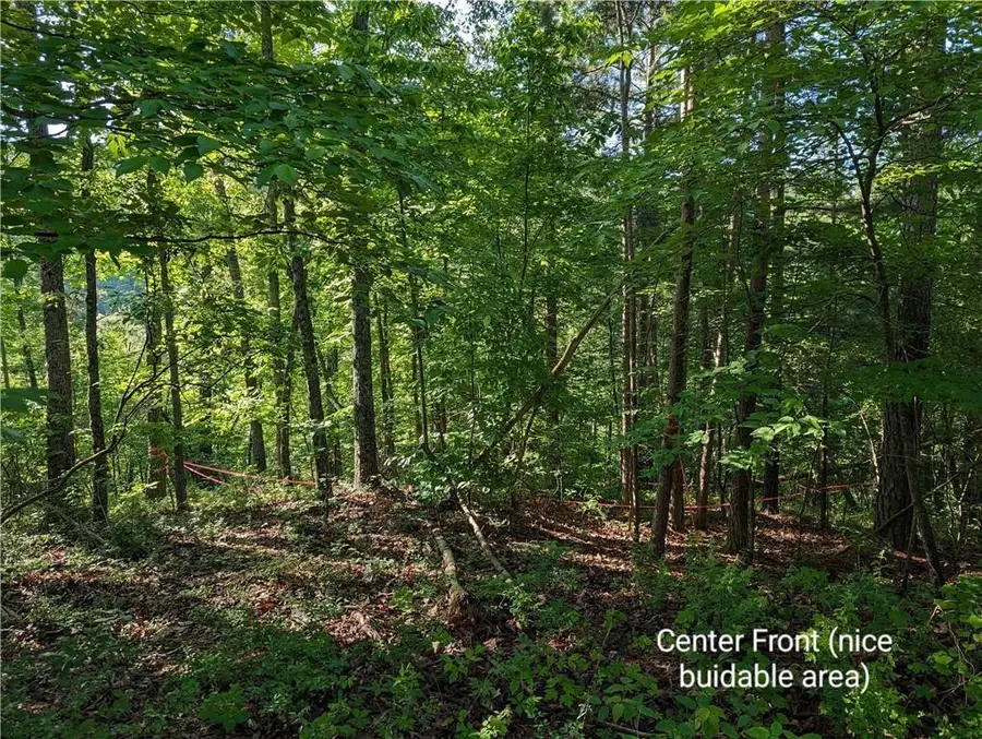 772 Naomi Court, Ranger, GA 30734 - Image #3