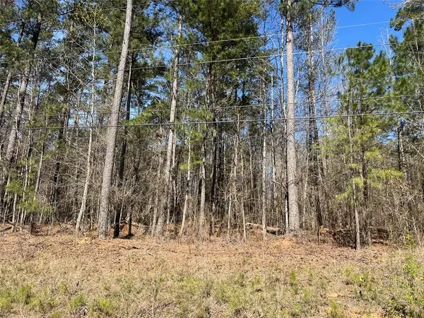 0 Jones Road, South Fulton, GA 30213