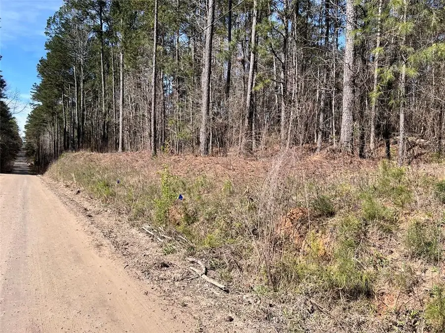 0 Jones Road, South Fulton, GA 30213 - #2