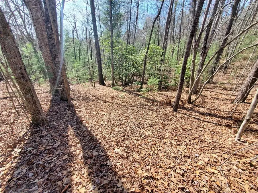 0 Trails End Summit, Ellijay, GA 30540 - #2