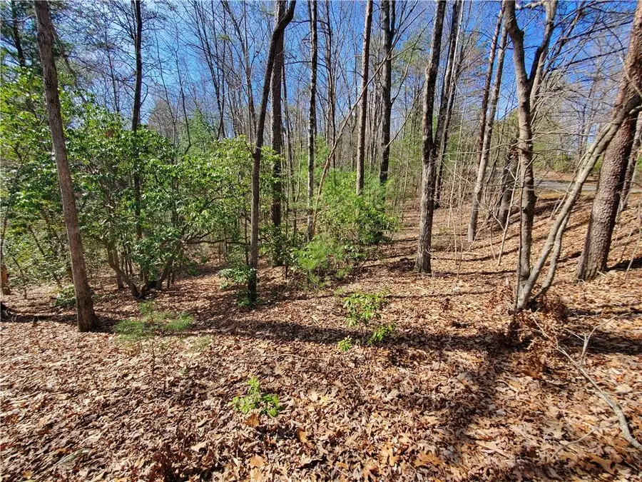 0 Trails End Summit, Ellijay, GA 30540 - #3