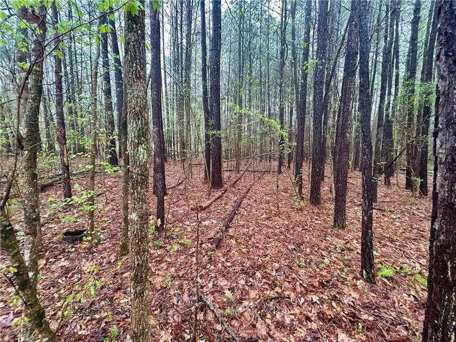 0 Walker Mountain Road Sw, Rome, GA 30161 - #3