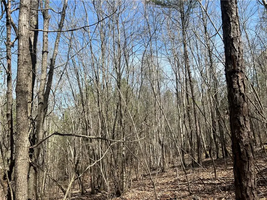 16 Unbridled Road, Rome, GA 30161 - Image #2