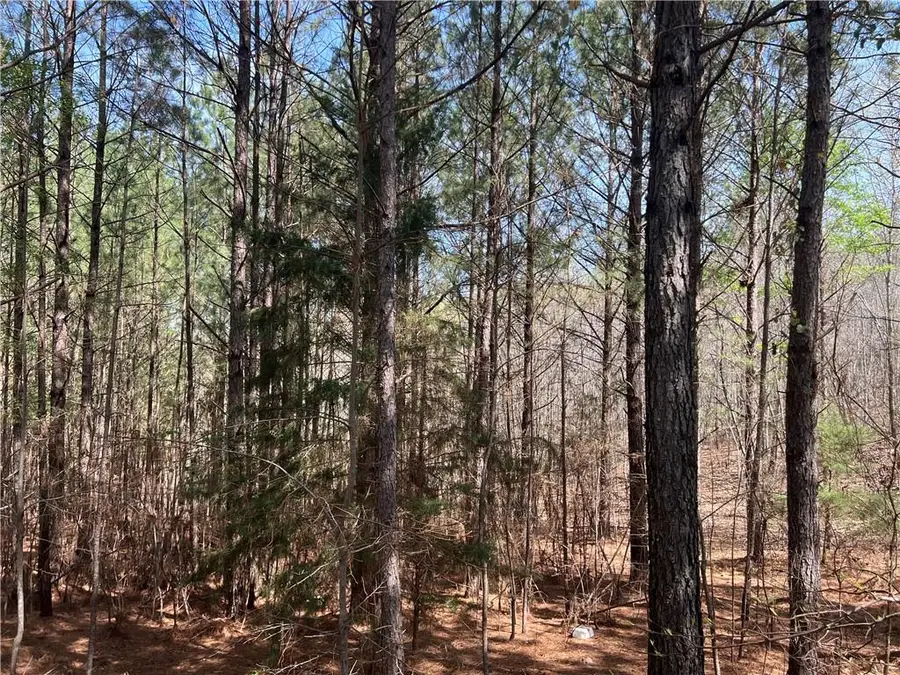 16 Unbridled Road, Rome, GA 30161 - Image #3