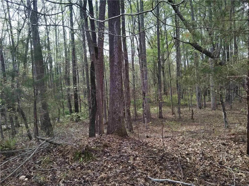 75 Lee, Greenville, GA 30222 - Image #1