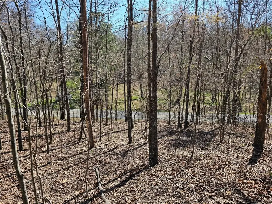 0 Prior Station Road, Cedartown, GA 30125 - Image #3