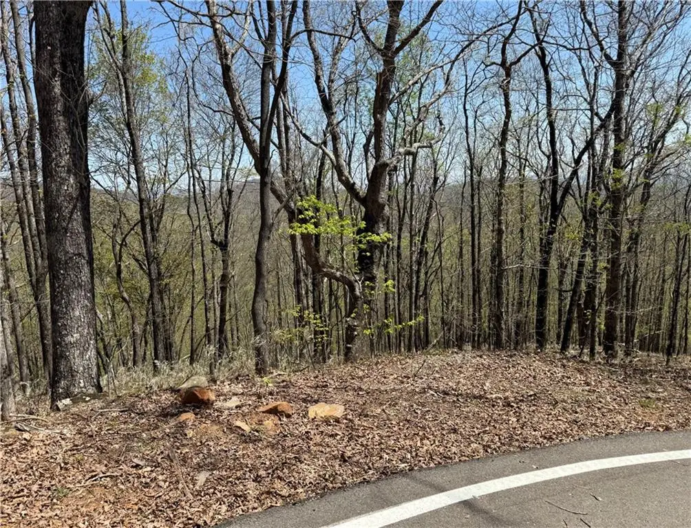 7248 Ridgeview Drive, Big Canoe, GA 30143 - #1
