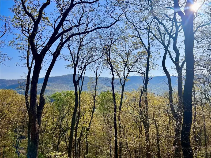 190 S View Trail, Jasper, GA 30143 - Image #2