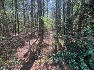 0 Troupe Smith Road Sw, Conyers, GA 30094