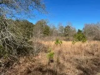 871 Eufalula Highway, Fort Gaines, GA 39851 - Image #2