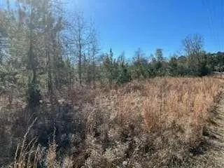 871 Eufalula Highway, Fort Gaines, GA 39851 - Image #3