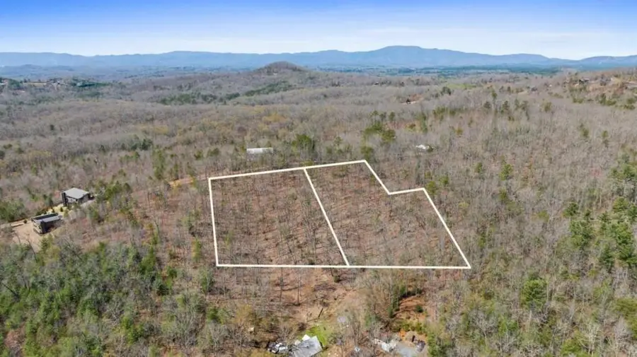 40A Synacia Road, Mineral Bluff, GA 30559 - Image #2