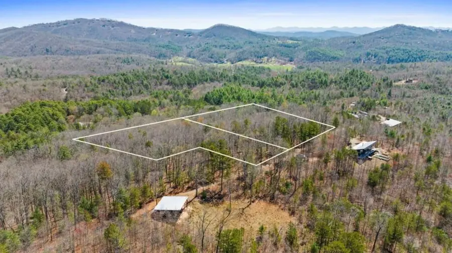 40A Synacia Road, Mineral Bluff, GA 30559 - Image #3