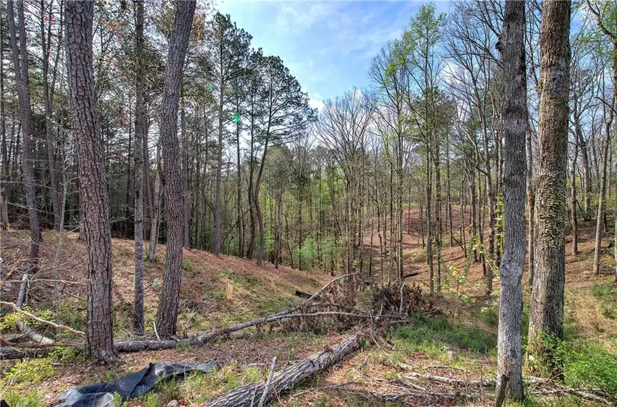 259 High River Road, Ellijay, GA 30540 - #3